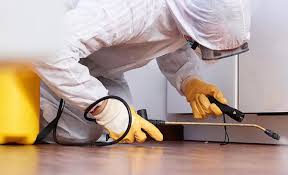 Best Pest Exclusion Services  in Hickory Hls, IL